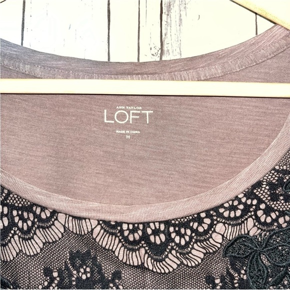 Loft Brown & Lace Top Tee - Picture 4 of 4